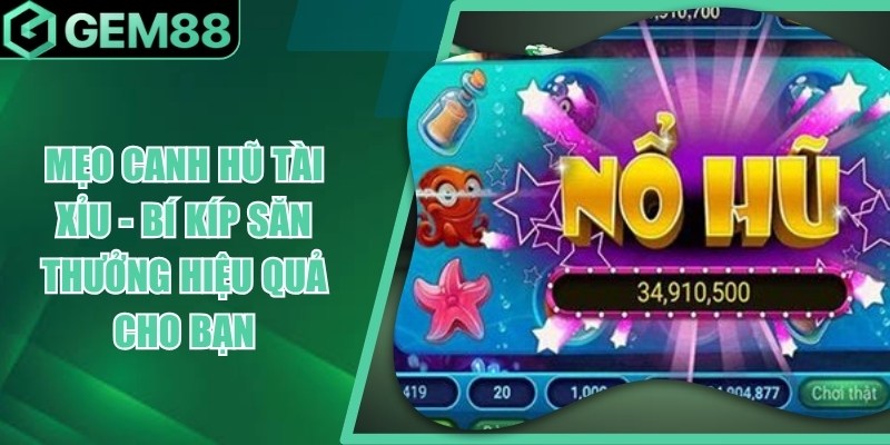 Mẹo Canh Hũ Tài Xỉu - Cách Xem Lịch Sử & Quản Lý Cược meo canh hu tai